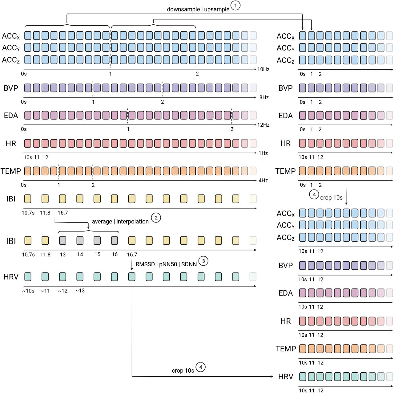 Illustration of the time-alignment pre-processing procedure. A number of variations of the pre-processing pipeline were experimented and the simplest version is illustrated here in this figure. Note that the sampling rates in the figure are made-up for illustration purposes, the actual sampling rates are specified in Section 3.1. The vertical dashed lines indicate one-second worth of recordings. The number next to each arrow indicate the order of preprocess step. Refer to the text for a fuller description of the pre-processing strategy.
