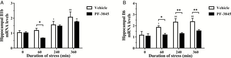 The effect of the fatty acid amide hydrolase inhibitor, PF-3845 (5 mg/kg, i.p. injection), on hippocampal (A) interleukin-1β (Il1b) and (B) interleukin-6 (Il6) mRNA expression from control and stressed rats (n=5–6/group). The relative mRNA expression was determined in the dorsal hippocampus from rats exposed to 0 (control), 60, 240, and 360 minutes of acute restraint stress. Data are presented as mean±SEM. †P<.05, ††P<.01, and †††P<.001 vs vehicle-treated group at 0 (control) minute; *P<.05 and **P<.01 between vehicle- and PF-3845-treated groups at each respective time-point.