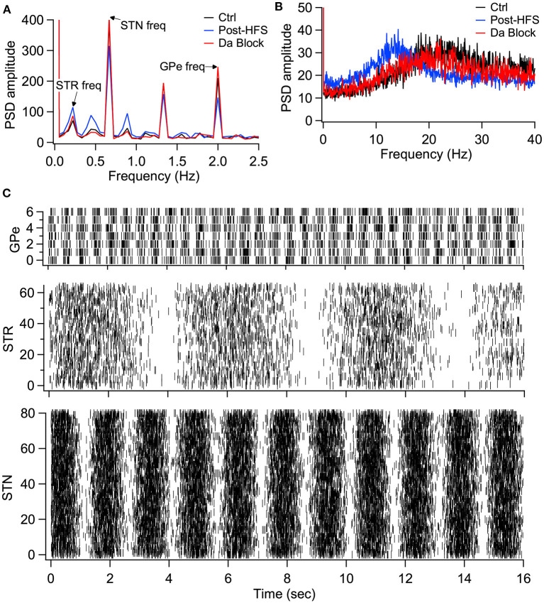 Model simulations demonstrate the eCB dependent synaptic plasticity enhances information transmission from the striatum and reduces energy in the β band. (A) Simulations in response to oscillatory synaptic inputs reveals that Post-HFS enhances energy at the Str frequency while reducing energy at GPe and STN frequencies. N = 15 trials. (B) Simulations in response to log normally distributed synaptic inputs demonstrates that Post-HFS shifts energy into the β-band, whereas blocking dopamine during Post-HFS does not change energy in the β-band. N = 15 trials. (C) Raster plots of synaptic inputs for 1 trial of simulations in (A). Oscillation frequency of 0.2 Hz (Str), 0.6 Hz (STN), and 2 Hz (GPe) modulates the mean firing frequency of synaptic inputs. Note that mean firing frequency of synaptic inputs was 4 Hz (Str), 18 Hz (STN), and 29.3 Hz (GPe) for both oscillatory (A) and log normally distributed (B) inputs.