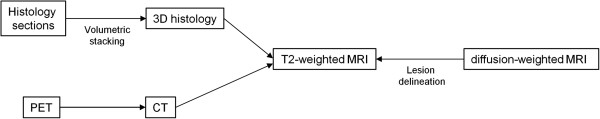 Schematic illustration of 3D image coregistrations performed in this study.
