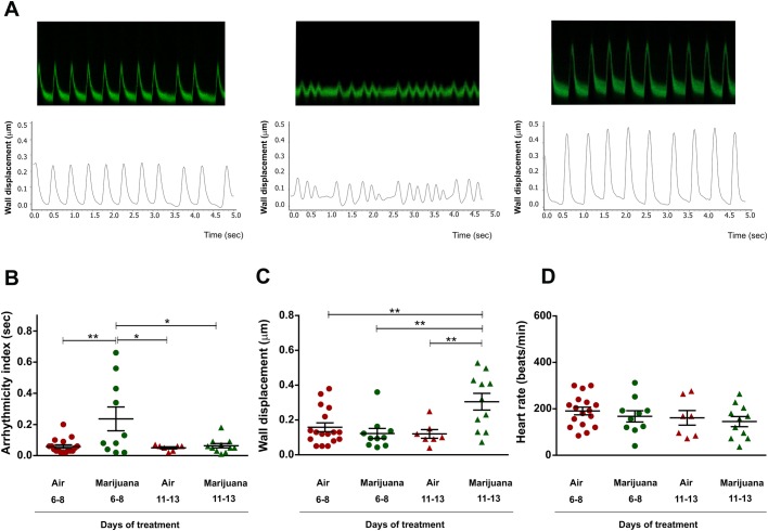 Cardiac performance is modified by Cannabis sp. Flies harboring the reporter system handC-GFP (handC-GFP/+) were analyzed. (A) Typical recordings (top) and digitalized signals (bottom) of heart wall displacements for each group during 5 s. (B–D) Average results (±s.e.m.). (B) Arrhythmicity index is incremented during short-term exposure to marijuana. (C) Contractility is significantly incremented in flies treated with marijuana for 11–13 days. (D) Heart rate remains unchanged. N = air 6–8 days (17), marijuana 6–8 days (10), air 11–13 days (7), marijuana 11–13 days (11). One-way analysis of variance (ANOVA) followed by Tukey's post hoc test. *P<0.05, **P<0.01.