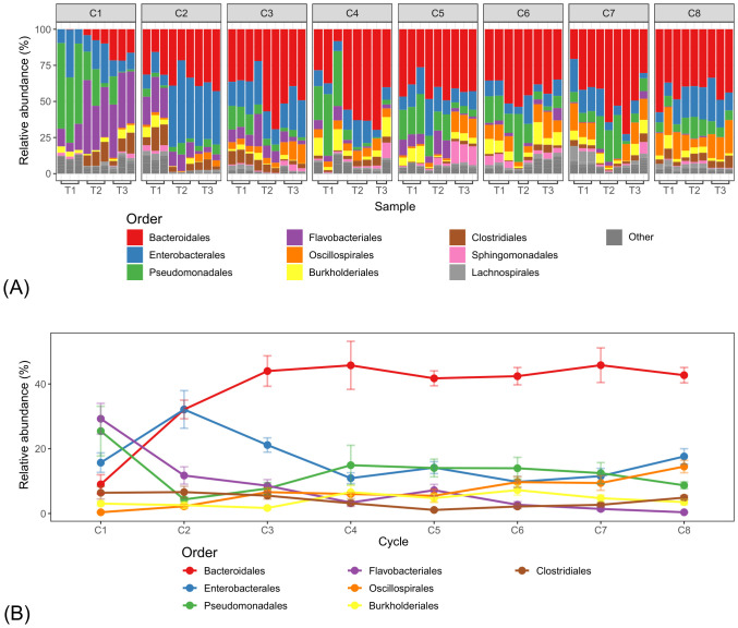 Panel A displays a stacked bar chart showing the relative abundance of bacterial orders in samples across cycles C1 to C8, with each cycle containing samples T1 to T3. Colors represent different bacterial orders according to the legend. Panel B presents a line graph showing the change in relative abundance of various bacterial orders across cycles C1 to C8, with Bacteroidales having the highest and most consistent abundance over time; error bars indicate variability. Both panels use the same color coding for bacterial orders as shown in the legend below panel A.