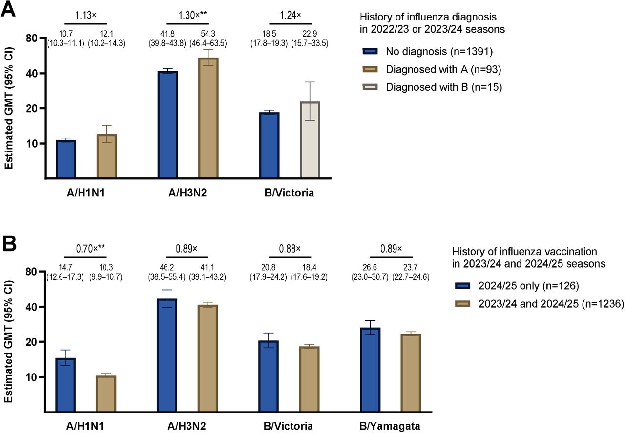 Comparison of the geometric mean hemagglutination inhibition titers by the history of influenza diagnosis in the 2022/2023 or 2023/2024 (A) and by the current and previous vaccination status (B) among the 2024/2025 vaccinated participants. (A): The upper panel compares the GMT by the history of influenza diagnosis in 2022/2023 or 2023/2024 among the 2024/2025 vaccinated participants. For HI titers against A/H1N1 and A/H3N2, we compared them between those without a history of influenza and those with a history of influenza A. For HI titers against B/Victoria, we compared the titer between those without a history of influenza and those with a history of influenza B. Since the B/Yamagata has not been detected since 2020, we did not compare that titer. Those who lacked information about the type of influenza (A or B) were excluded from this analysis (n=8). (B): The lower panel compares GMT by the 2024/2025 and 2023/2024 vaccination status among the 2024/2025 vaccinated participants. Those with a history of influenza diagnosis in 2022/2023 or 2023/2024 were excluded from this analysis (n=116). The bars indicate the estimated GMT, and the I-bars indicate 95% CIs. The presented values are GMT and 95% CIs, and the fold-change values (×) indicate the ratio of GMT, estimated using linear regression with adjustment for age and sex (*P < 0.05, **P <0.01, ***P < 0.001).Abbreviations: GMT, geometric mean titer; HI, hemagglutination inhibition; 95% CI, 95% confidence interval.