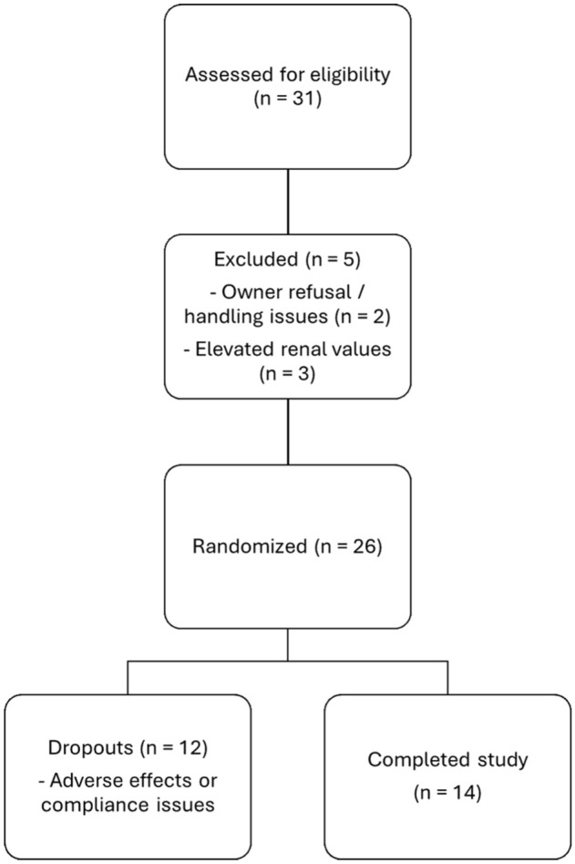 CONSORT diagram of the study population. Flow of cats through the study, including screening, randomisation, dropouts and study completion