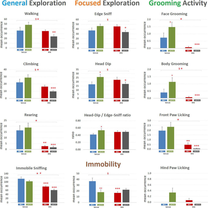 Effect of WIN 55,212-2 and its vehicle on the occurrence of different behaviors of Genetic Absence Epilepsy Rats from Strasbourg (GAERS) and non-epileptic control (NEC) rats. Administration of WIN 55,212-2 (WIN; 2 mg/kg, IP) and its vehicle affected the mean occurrence ± SEM of several behaviors of GAERS and NEC rats detected during the 10 min of the hole-board test. § = significant (p < 0.05) interaction between factors (strain x treatment, two-way ANOVA); * = significant (p < 0.05) main effect of pharmacological treatment (WIN vs. Vehicle, two-way ANOVA). # = significant (p < 0.05) effect of strain (GAERS vs. NEC, two-way ANOVA). x = significant difference between GAERS Vehicle vs. NEC Vehicle (Fisher’s LSD post hoc test for multiple comparisons). + = significant difference between GAERS WIN vs. GAERS Vehicle or between NEC WIN vs. NEC Vehicle (Fisher’s LSD post hoc test for multiple comparisons). x = p < 0.05, xx = p < 0.01; + = p < 0.05, ++ = p < 0.01 +++ = p < 0.001. Data obtained from the analysis of four groups (n = 15 subjects in each group).