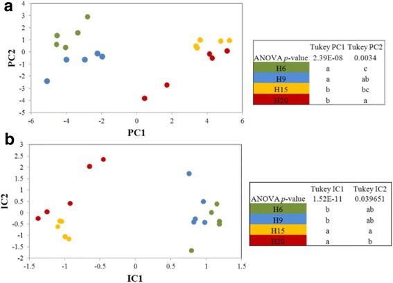 Clustering of the proteome profiles of hypocotyls at different ages. H6 green dots, H9 blue dots, H15 orange dots, H20 red dots. a: Principal component analysis based on the gel-based proteome study. b: Independent component analysis of LC-MS/MS based proteome profiles. In both panels, the significance of the coordinates in the two main axes was assessed using a Tukey post-hoc test, different letters within one column indicate that the proteome profiles are significantly different