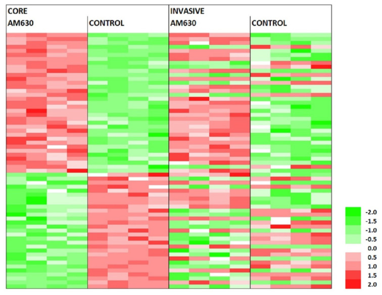 The probes that are significantly perturbed by AM630 in both the core and invasive margin cells. Probe levels are shown for which both the AM630 core and invasive cell expression change is above three standard deviations from the null. The total number of probes is 64 and there is a significant correlation between the responses in both cell types, with a Fisher exact test score of p < 0.004 (UU 28, UD 7, DU 13 and DD 16, where U = up regulated and D = down regulated).