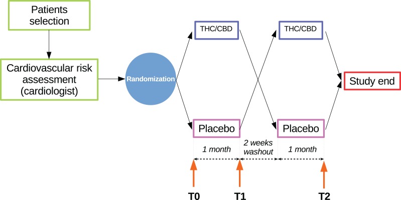 Graphical representation of the study protocol, particularly depicting the cross-over design and the time points. THC/CBD, tetrahydrocannabinol/cannabidiol.