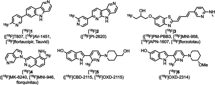 Several previously reported tau PET tracers.