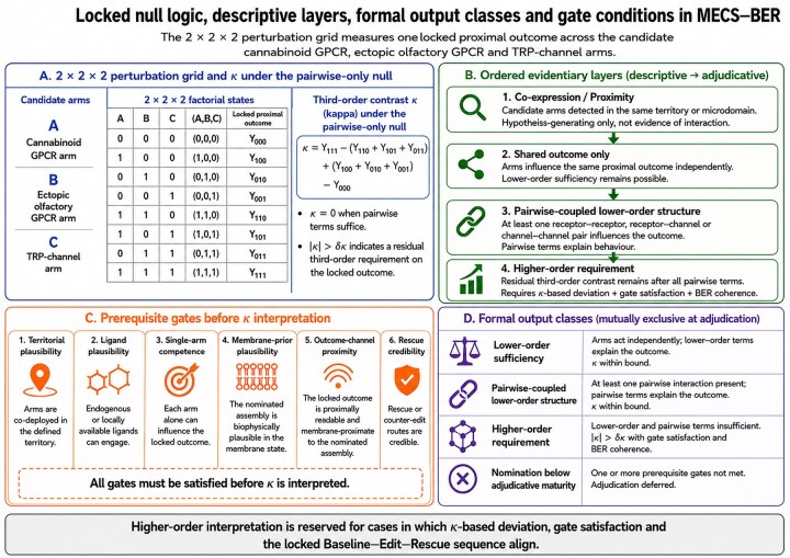 Diagram showing the 2 × 2 × 2 perturbation grid, the A/B/C candidate arms, κ under the pairwise-only null, ordered evidentiary layers and gate conditions required before higher-order interpretation. The figure distinguishes co-expression, shared outcome only, pairwise-coupled lower-order structure and higher-order requirement, and lists the prerequisite gates for κ interpretation.