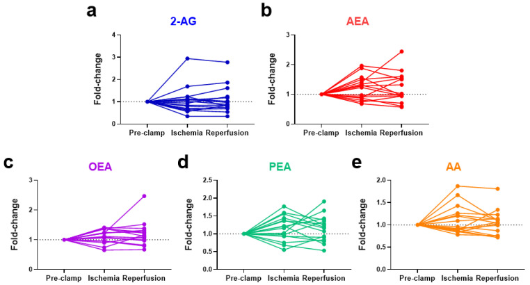 Changes in the systemic levels of endocannabinoids, ((a) 2-AG and (b) AEA), endocannabinoid-like compounds, ((c) OEA and (d) PEA), and a degradative product ((e) AA) as a result of renal ischemia and reperfusion during partial nephrectomy. 2-AG = 2-arachidonoylglycerol; AEA = anandamide; OEA = N-oleoylethanolamine; PEA = N-palmitoylethanolamine; AA = arachidonic acid.