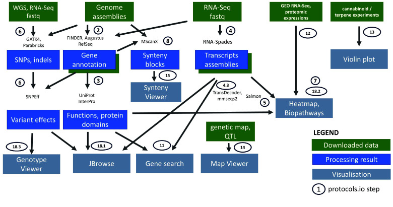Workflow for the preparation of publicly available and reanalyzed data, for the analysis tools, and visualization features in the ICGRC Cannabis Web Portal (icgrc.info). ‘Downloaded data’ are datasets downloaded either from public databases, supplementary files, or manually curated from articles. ‘Processing result’ are the new datasets generated by this project, and value added from the legacy results of the publications. ‘Visualization’ is the Tripal modules and specialized web applications included in the portal for the interactive user interface. Implementation details are documented in [46].