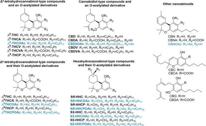 Structures of 31 phytocannabinoids and semisynthetic cannabinoids (acetylated forms in blue).