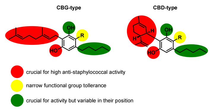 Illustration of the structure–activity relationships of cannabinoids of the CBG- and CBD-type on the anti-staphylococcal activity.