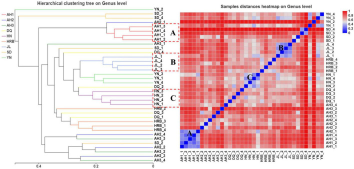 UPGMA (left) and heatmap (right) analyses of the fungal community in the nine geographic populations of the hemp flea beetle P. attenuata in China.