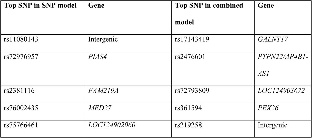 Table of the SNPs with the highest feature importance for the single nucleotide polymorphism (SNP), and combined pneumonia GLN-models