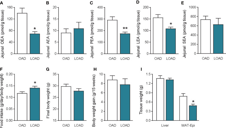 Jejunal FAE levels, food intake, body weight gain, and tissue weight in mice fed the OAD and LOAD for fifteen weeks. Jejunal FAE levels were measured using LC–MS/MS. (A) OEA, (B) AEA, (C) PEA, and (D) LEA, and (E) SEA levels. (F) Food intake was measured on the last day of the feeding period. (G) Final body weight on the last day of the feeding period. (H) Body weight gain during the feeding period. (I) Weight of the liver and epidydimal adipose tissue (WAT-Epi). Values are expressed as means ± SEMs (n = 4 or 5). *P < 0.05, **P < 0.01.