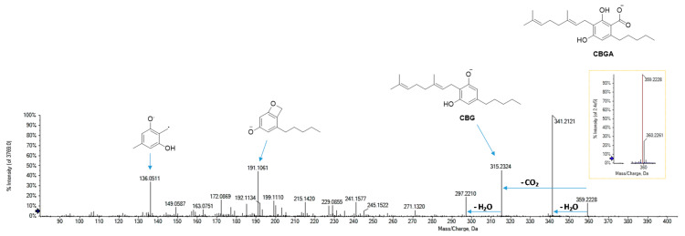 HR-MS and MS/MS spectra of CBGA (at m/z 359.2228).