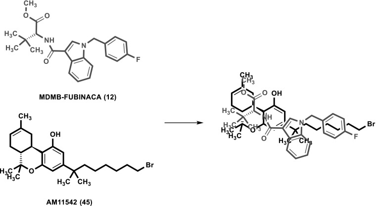 Overlay of the CB1 receptor agonists MDMB-FUBINACA (12) and AM11542 (45)
