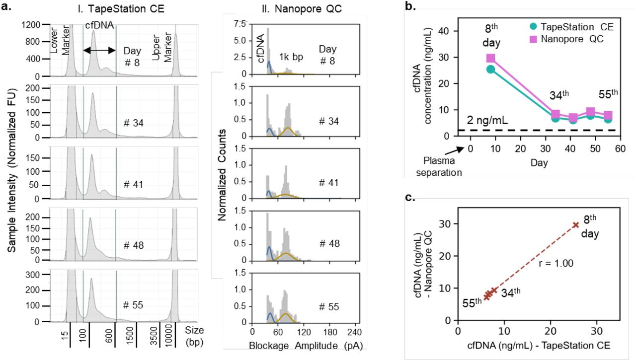 Validation of nanopore QC test using the plasma sample of a healthy individual. (a) Electropherograms obtained from TapeStation capillary electrophoresis (CE) assay with corresponding counts distributions of blockage amplitudes from nanopore QC assay. (b) Consistent drop observed in measured cfDNA concentrations using both TapeStation CE and nanopore QC assays at different days up till 55th day post-plasma separation. cfDNA concentration. (c) Measured concentrations of cfDNA using both Nanopore QC and TapeStation CE assays showed high correlation validating the proposed assay’s QC performance.