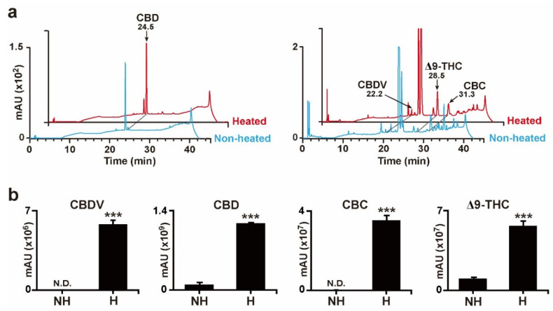Decarboxylation results of the Cannabis plant extract. (a) HPLC chromatograms of enriched neutral cannabinoids, CBD, CBDV, Δ9-THC, and CBC after heat treatment. (b) Results for enriched CBD, CBDV, Δ9-THC, and CBC signals after heat treatment. nd indicates non-detectable. Error bars indicate the SEM of three replicates (Student’s t-test, *** p < 0.001).