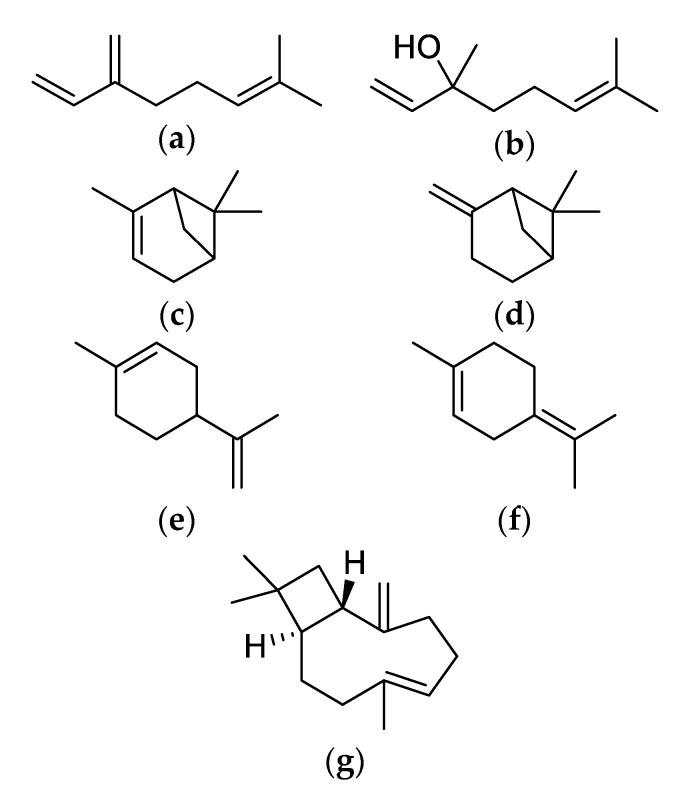 Chemical structures of major non-cannabinoid phytochemicals. (a) Myrcene; (b) Linalool; (c) α-Pinene; (d) β-Pinene; (e) Limonene; (f) Terpinolene; (g) β-Caryophyllene.