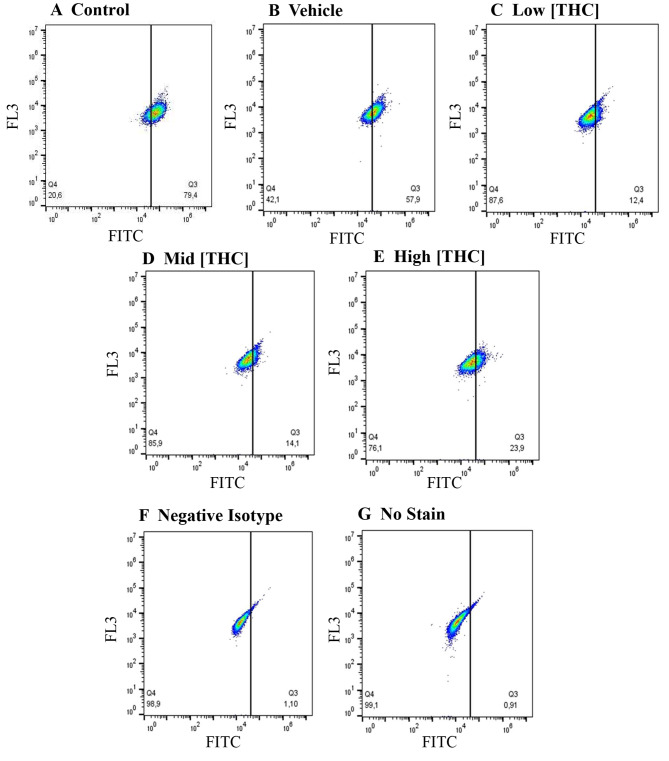5-mC representative flow cytometry plots. The proportion of no stain (left quadrant) to 5-mC stained (right quadrant) in GCs can be visualized. Plots represent A) control, B) vehicle, C) low THC (0.032 µM), D) mid THC (0.32 µM) E) high THC (3.2 µM), F) negative isotype control and G) no stain control