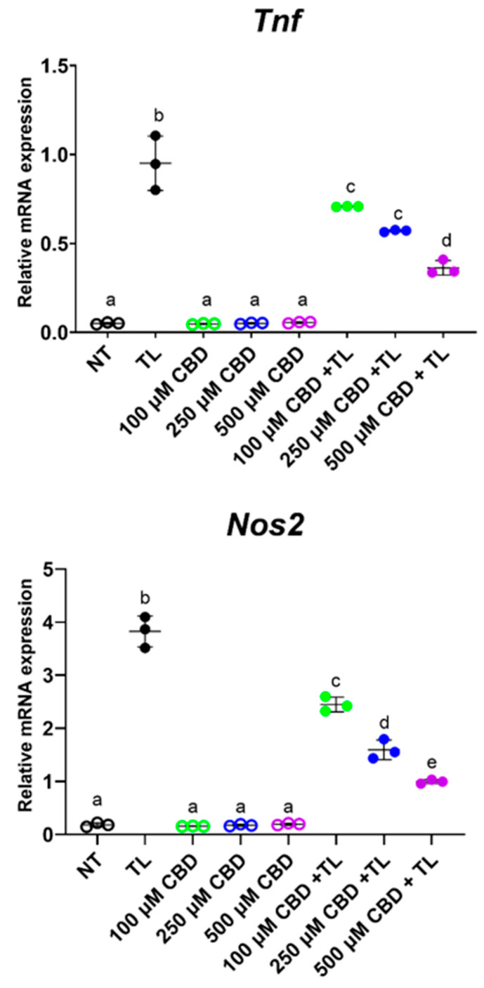 CBD decreased expression of inflammatory markers in intestinal organoids. Mature ileal organoids were treated with Tnfα + LPS (TL) to induce inflammation or treated with increasing concentrations of CBD in the absence or presence of TL. Negative controls consisted of no treatment (NT). On day 4, after organoids were passaged, organoids were incubated with treatments (n = 6 wells per treatment) for 24 h; each well contained approximately 100 mature organoids. Organoids were harvested and RNA was extracted for qPCR and the relative expression of target genes were determined using the 2e-Δct method. Outliers were not detected after ROUT test. Significant differences between treatments were detected using one-way ANOVA followed by a Tukey post hoc test. Different letters indicated significant difference between treatments.