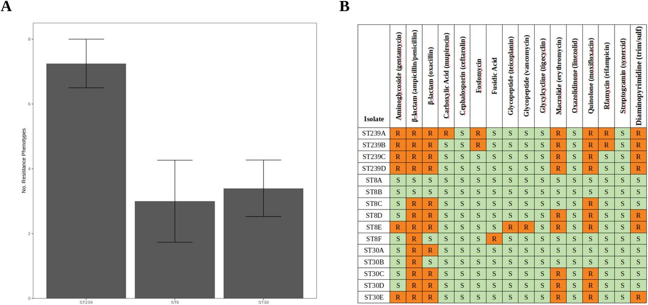 Mean (+/− s.e.m.; N = 4 – 6) number of AMR phenotypes for ST239, ST8 and ST30 isolates. 5B. Heat map of AMR phenotypes for ST239, ST8 and ST30 isolates. Orange (R), resistant; green (S), susceptible.