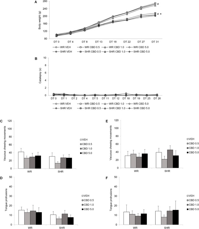 Potential side effects assessed during and after peripubertal treatment with cannabidiol (CBD). WRs and SHRs were treated with vehicle (VEH) or CBD (0.5 mg/kg, 1.0 mg/kg or 5.0 mg/kg) during peri-adolescence (30–60 post-natal day). Body weight gain in grams (A), and catalepsy behavior in seconds (B), were evaluated throughout treatment. Vacuous chewing movements and tongue protrusions were assessed 48 h (C,D) and 1 month after (E,F) treatment cessation (post-natal days 62 and 90, respectively). Data reported as mean ± SEM. Two-way ANOVA (vacuous chewing movements, tongue protrusions) or repeated measures three-way ANOVA (catalepsy, body weight). ∗p < 0.001 compared to WRs of same treatment, from DT13 to DT31. #p < 0.001 compared to the same experimental group in all other days of treatment, from DT8 to DT31. DT, day of treatment; SHR, spontaneously hypertensive rats; WR, Wistar rats.