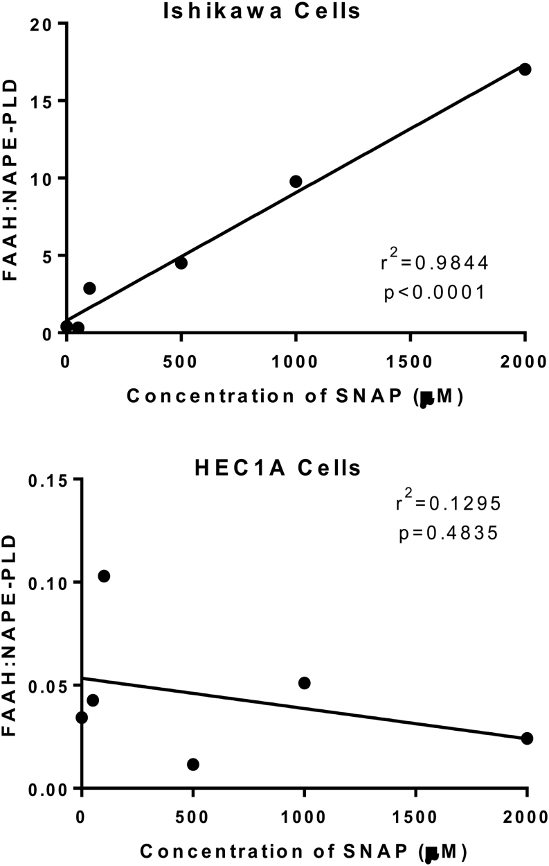 The effect of the NO inducer SNAP on the ratio of FAAH to NAPE-PLD transcript levels in Ishikawa and HEC-1A cells. The data are presented as a single plot for each FAAH:NAPE-PLD ratio for Ishikawa (upper panel) and HEC-1A cells (lower panel) treated for 48 h with the indicated concentrations of SNAP. Linear regression analysis (Pearson’s correlation) revealed a strong correlation between SNAP concentrations and the FAAH:NAPE-PLD ratio in Ishikawa cells (r2 = 0.9844, P < 0.0001), whereas there was no correlation between the FAAH:NAPE-PLD ratio and SNAP concentrations in HEC-1A cells (r2 = 0.1295, P = 0.4835).