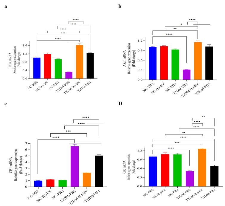 The effect of PB.t and B.t-EVs on the mRNA expression of liver diabetes-related genes; (a) PI3k (Phosphoinositide 3-kinase), (b) Akt (Protein Kinase B), (c) CB1 (Cannabinoid Receptor Type 1), and (d) CB2 (Cannabinoid Receptor Type 2). Data are expressed as mean ± SEM (standard error of mean) (n = 8/group); *, P < 0.05; **, P < 0.01; ***, P < 0.001; ****, P < 0.0001 by post hoc Bonferroni's One-way analysis of variance (ANOVA). Groups categories: NC-PBS (normal control rats gavaged with PBS); NC-B.t-EV (NC gavaged with Bacteroides thetaiotaomicron (B.t)'s Extracellular Vesicles); NC-PB.t (NC gavaged with Pasteurized B.t); T2DM-PBS (type 2 diabetes mellitus gavaged with PBS); T2DM-B.t-EV (T2DM rats gavaged with B.t-EV); T2DM-PB.t (T2DM rats gavaged with PB.t).