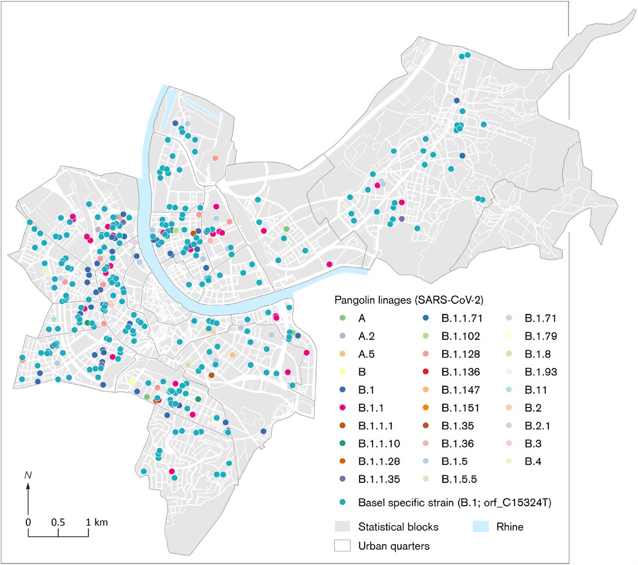 Lineage identity (pangolin) of PCR-confirmed COVID-19 cases from 26th of February until 22nd of April, 2020, in Basel-City with B.1-C15324T as dominant variant highlighted.