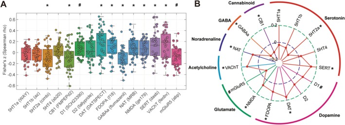 Findings of the spatial correlation analysis between ReHo alterations and neurotransmitter receptor/transporter density distributions. Box plot with scatter (A) and radar plot (B) showed that relative to TDCs, ReHo alterations in patients with ASD were significantly associated with the spatial distribution of serotonergic, dopaminergic, noradrenergic, GABAergic, and cannabinoid neurotransmitter maps. For details of the neurotransmitter receptor/transporter map information and abbreviations, see Supporting Informations S2, Table S1, and Figure S1. *p < 0.05, FDR‐corrected; # p < 0.05, uncorrected.
