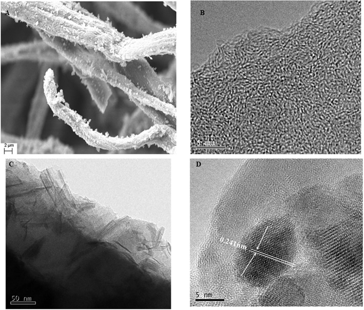 The morphology of LACFP by HRTEM (B) and the morphology of MnO2-loaded LACFP by SEM (A), TEM (C), and HRTEM (D).