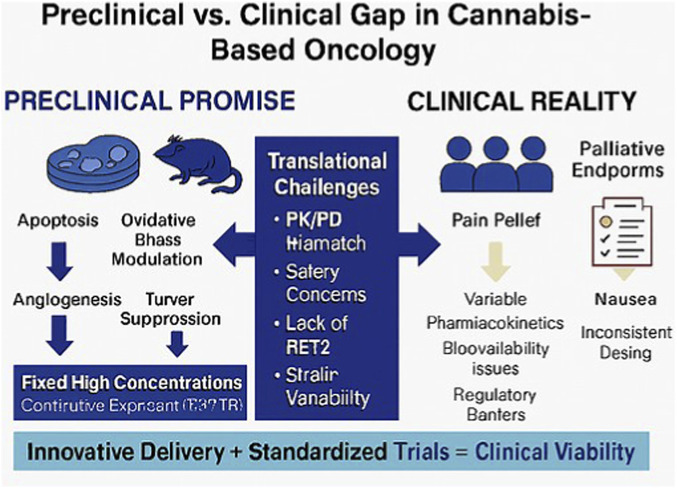 Infographic comparing preclinical promise and clinical reality in cannabis-based oncology, highlighting effective preclinical results like apoptosis and tumor suppression versus clinical challenges such as variable pharmacokinetics, safety concerns, and inconsistent trial design, ending with a call for innovative delivery and standardized trials for clinical viability.