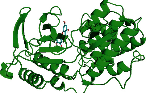 Docked conformation of MAPK14 and quercetin.