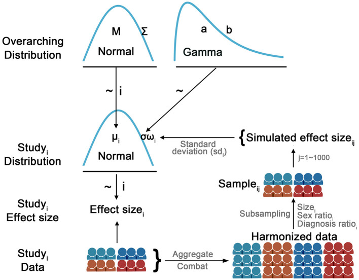 Diagram illustrates the hierarchical Bayesian model used to model the study-specific effect size. The observed effect size for the ith study was sampled from a study-specific normal distribution N(μi, ωiσ). The study-specific μi was assumed to be sampled from a higher-order normal distribution N(M, Σ). The common part of the variance of the study-specific distribution σ was sampled from a higher-order Gamma(a, b) distribution and weighted by the study-specific sampling variance ωi. The study-specific sampling variance ωi for the ith study was estimated as follows: a sample with the same sample size and the same ratios of diagnosis and sex was drawn from the harmonized data. Then, a linear regression was performed on the drawn sample and the Cohen's d effect size was calculated. After repeating this procedure 1,000 times, a distribution of 1,000 simulated effect sizes based on the same diagnosis and sex ratio was created for the ith study. The study-specific sampling variance ωi was calculated as the standard deviation of the simulated effect sizes, which was incorporated into the study-specific model. This strategy allowed the model to accommodate differences in sample size as well as the potential impact of sample profiles (e.g., sample size, diagnosis, and sex ratios) on the sampling variance when estimating the study-specific parameters. That is, if an individual study had a low estimated sampling variance, it would have a small weight (ω) on the common part of the variance (σ) in the study-specific distribution. Per JAGS convention, the precision of the distribution (i.e., the reciprocal of the variance: 1/σ or 1/ε) was modeled in the JAGS.