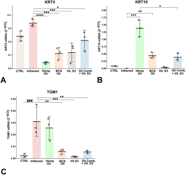Effects of natural oil formulations and vitamin D3 on Keratinocyte Differentiation Marker Expression in CPEK Cells after Inflammatory Stimulation. Keratin 5 (A), Keratin 10 (B), and Transglutaminase 1 (C) expression were evaluated by RT‐PCR 24 h after the inflammatory stimulus in control cells (CTRL), inflamed (cAD), and treated groups (hemp oil, BCS oil, vitamin D3, and oil combination + vitamin D3). Data are shown as mean ± SD; individual data points represent biological replicates. Statistical analysis: One‐way ANOVA followed by pairwise Welch's t‐tests with Šidák correction, performed as two independent comparison families per readout—# indicates a significant difference versus CTRL (effect of inflammation) and * indicates a significant difference versus Inflamed (effect of each treatment relative to the inflamed state). #/*p < 0.05; ##/**p < 0.01; ###/***p < 0.001.