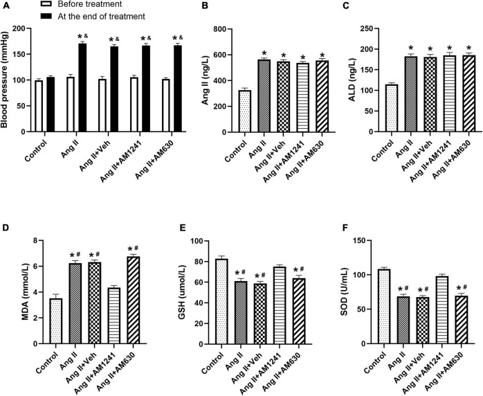 Under Angiotensin II stimulation, the RAAS was activated, and blood pressure (BP) rose. Ang II (2,000 ng/kg/min) was subcutaneously infused into the mice for 21 days. In addition, solvent (0.1 ml), AM1241 (20 mg/kg), and AM630 (3 mg/kg) were administered intraperitoneally every day to the animals. Before the treatment, there were no significant differences in blood pressure (BP) among the five groups. After 21 days of different treatments, BP increased significantly in all groups except the control group (A). The content of Angiotensin II (B), aldosterone (ALD) (C), malondialdehyde (MDA) (D) and glutathione (GSH) (E), and the enzyme activity of superoxide dismutase (SOD) (F) were determined by serological examination. The data represent the mean ± SEM. *P < 0.05 vs. control group. &p < 0.05 vs. before treatment. #P < 0.05 vs. Ang II + AM1241 group.