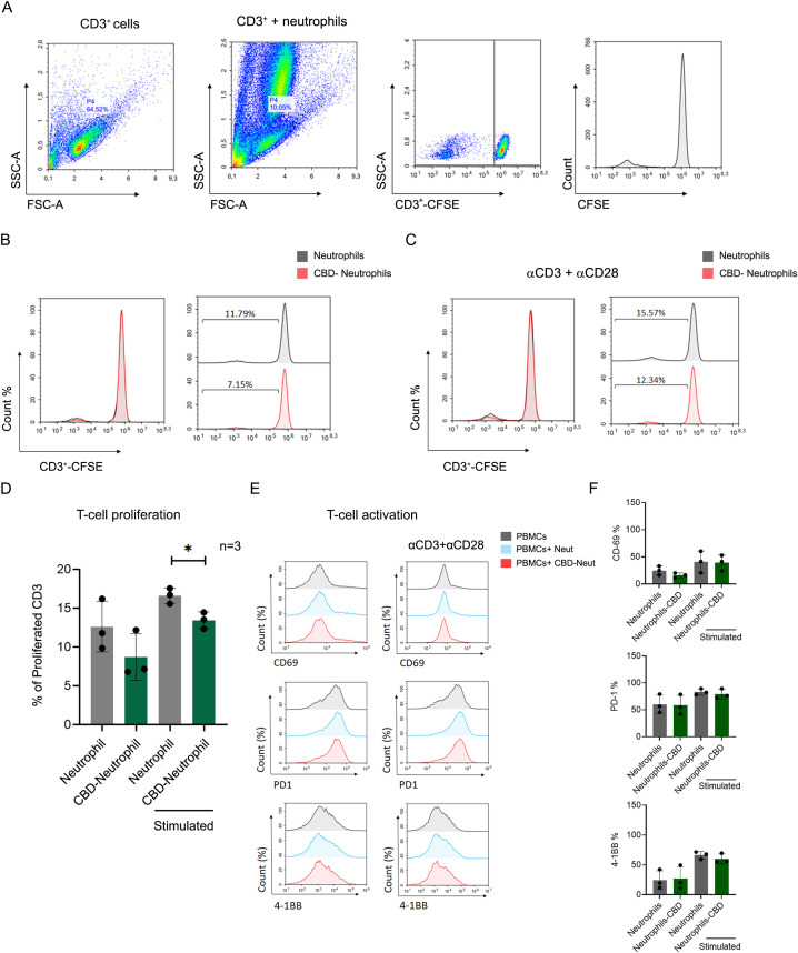 Flow cytometric analysis visualizing CD3⁺ T-cells and their interaction with neutrophils. Panel A shows scatter plots of CD3⁺ cells, CD3⁺ cells with neutrophils, and CFSE profiles. Panels B and C depict histograms for CD3⁺-CFSE and CFSE in various conditions. Panel D presents a bar graph of T-cell proliferation percentages, indicating a significant increase with CBD-treated neutrophils. Panel E offers histograms of T-cell activation markers CD69, PD1, and 4-1BB. Panel F illustrates bar graphs of activation markers CD69, PD1, and 4-1BB in different treatments.