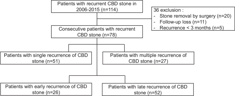 Flowchart of patient groups.