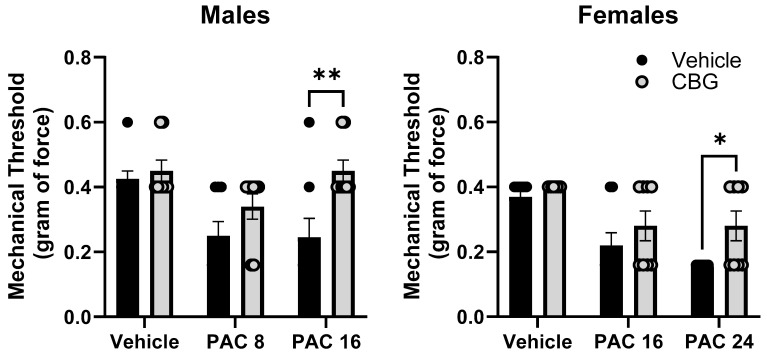 Prophylactic CBG administration prevents mechanical sensitivity associated with paclitaxel exposure in male (left) and female (right) C57Bl/6 mice. Mice are treated with vehicle or CBG (10 mg/kg i.p.) 30 min prior to vehicle or paclitaxel (8.0 or 16 mg/kg in males, 16 or 24 mg/kg i.p. in females,) on Days 1, 3, 5, and 7 in a between-subjects design (n = 8/group). Mechanical sensitivity is measured on Days 0 and 14. Results demonstrate that prophylactic administration of CBG protected the male and female mice from increased mechanical sensitivity. Two-way ANOVAs with Sidak’s multiple comparison tests; * = p < 0.05 as compared to vehicle control. ** = p < 0.01.