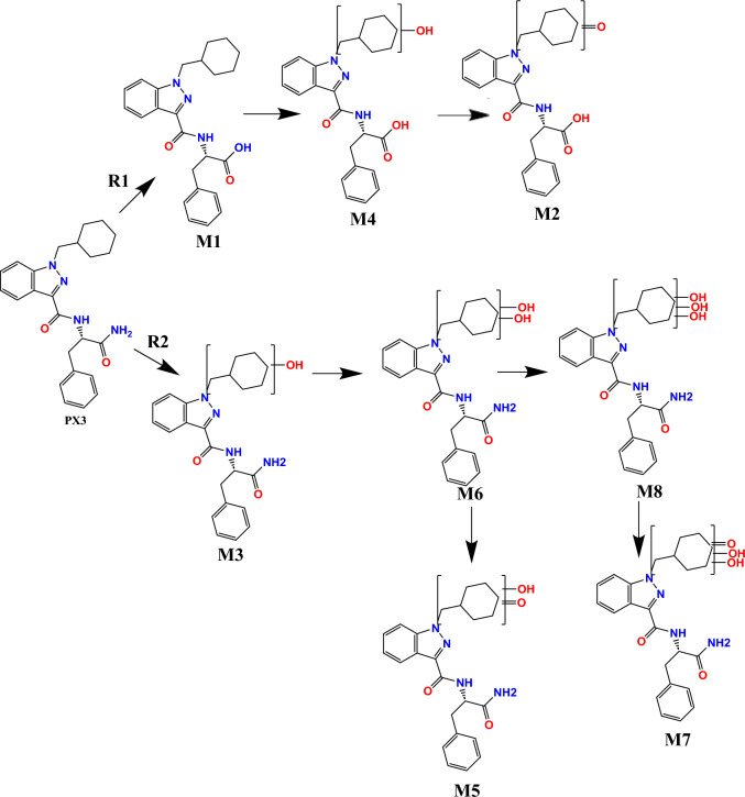 Metabolic reactions identified for APP-CHMINACA by two different metabolic routes (R1 and R2). R1: Distal amide hydrolysis (M1), distal amide hydrolysis and ketone formation on CHM (M2), distal amide hydrolysis and mono-hydroxylation on CHM (M4). R2: mono-hydroxylation on CHM (M3), mono-hydroxylation and ketone formation on CHM (M5), di-hydroxylation on CHM (M6), di-hydroxylation and ketone formation on CHM (M7), tri-hydroxylation on CHM (M8)