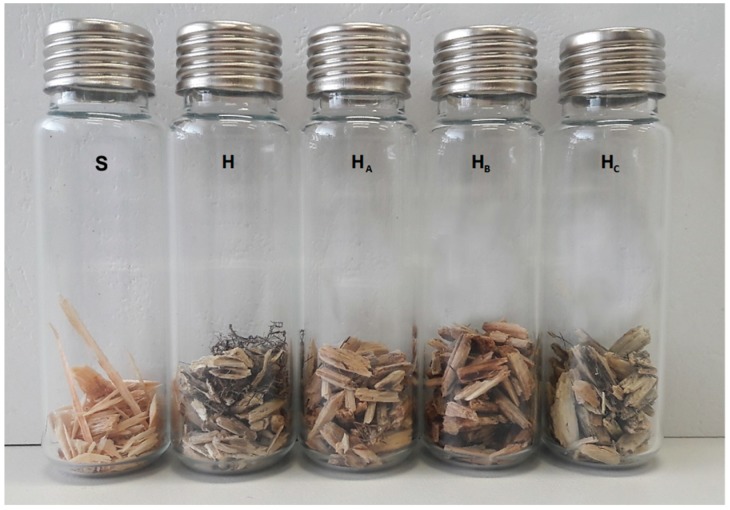 The samples closed in vials ready for GC-MS analysis—visual color change: (S—spruce strands, H—untreated hemp shive, HA—hemp shive after tartaric acid treatment, HB—hemp shive after citric acid treatment, HC—hemp shive after sodium bicarbonate treatment).