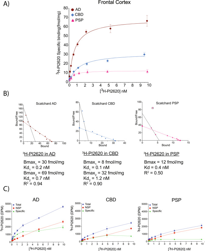 3H-PI2620 saturation binding assays in AD, CBD and PSP brain homogenates.A 3H-PI2620 saturation binding assays were carried out in frontal cortex brain tissue homogenates from two AD patients (5; A), two PSP patients (25; 26) and two CBD patients (20; 23) using concentrations of 0.05 to 10 nM. NSP binding was determined using 1 μM of unlabelled PI2620. B Scatchard plots indicating Bmax and Kd values. Error bars represent the means ± SEM for three experiments in duplicate and triplicate. C Graphs showing total, NSP and specific binding of 3H-PI2620 in homogenates from two AD patients (5; A), two CBD patients (20; 23) and two PSP patients (25; 26) using concentrations of 0.05 to 10 nM. AD Alzheimer’s disease, Bmax maximum number of binding sites, CBD corticobasal degeneration, DPM disintegration per minute, Kd dissociation constant, NSP non-specific, PSP progressive nuclear palsy, R2 regression coefficient, SEM standard error of the mean.