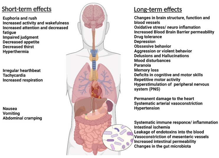 The general short-term and long-term effects of addiction on the body (Figure created with BioRender.com).