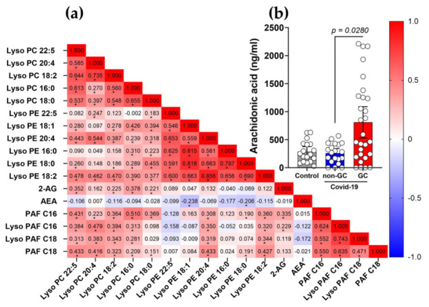 Altered profile of eCBs and PAF induced by the use of GCs in patients with COVID-19. (a) Correlation matrix between lipid mediators species in individuals using GCs. The color scale sidebar indicates the correlation coefficients (r), color-coded: red, positive correlation; blue, negative correlation; the intensity of the color represents the intensity of the correlation. Values adjust between −1.0 and 1.0. Significance levels indicated with gray asterisks are based on the p-value < 0.05 of the Spearman’s correlation coefficient (r)*. (b) Production of arachidonic acid (AA) in COVID-19 patients with the use of GCs, healthy controls (n = 18), non-GC (n = 22) and GC (n = 30). Statistical analyses were performed using the Kruskal–Wallis multiple comparison test (non-parametric), followed by Dunn’s post-test. Data are expressed as median in boxplot graphs with minimum and maximum values with a confidence interval of +/−95%. Significance levels shown are based on statistically significant p < 0.05 values between groups. (c) Schematic representation of the eCBs and PAF pathways in COVID-19 patients and the regulation of GCs in this model. (Created with BioRender.com, Agreement number: RJ24TV89SK).