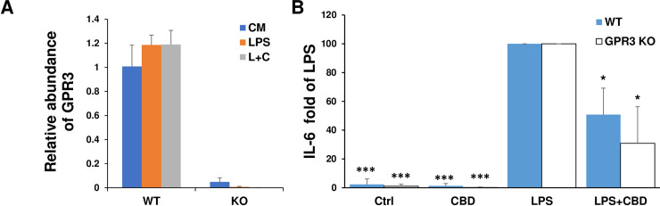 Isolated astrocytes expressed GPR3 and knockout of GPR3 did not reverse CBD inhibition of IL-6 production by LPS stimulated astrocytes.(A) The expression of GPR3 in astrocytes at mRNA levels. Astrocytes isolated from WT B6 mice or GPR3 KO mice were incubated with medium, 0.1 μg/ml LPS, or 10 μM CBD for 2 h followed by 0.1 μg/ml LPS (L+C). After 20h, mRNA levels of GPR3 were determined by RT-PCR and the relative abundance of GPR3 was expressed compared to housekeeping gene β-actin. (B) Astrocytes isolated from WT or GPR3 KO mice were incubated with medium, 0.1 μg/ml LPS, 10 μM CBD or CBD for 2 h followed by LPS. After 20h, the supernatants were collected for measurement of IL-6 by ELISA. The fold changes of IL-6 in different cell culture supernatants compared to supernatants in LPS stimulated astrocytes (as 100%) were calculated from 3 individual experiments. *p< 0.05 and *** p<0.001 compared to LPS using one-way ANOVA followed by Dunnett’s test.