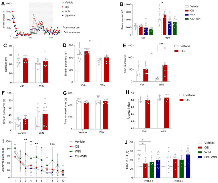 Behavior impact of OS (2 mg/kg), WIN (0.5 mg/kg), or OS + WIN i.p injections 10 min before each test. (A,B): Cage activity of C57BL/6J adult mice. (A) The activity profile revealed changes in beam crossings by mice during the 24 h (Day phase: 7 a.m.–7 p.m., Night phase: 7 p.m.–7 a.m.). (B) Assessment of the total amount of beam crossings by mice during the 24 h home cage activity test, divided into day and night phases (n = 8–11 mice per group). Data are presented as means ± SD. &: OS + WIN vs. Vehicle, * p < 0.05. +: OS vs. all other groups, ** p < 0.01. (C–E): OF test activity of C57BL/6J adult mice. (C) Total distance walked by mice in an open field. (D) Total time mice spent in the center of an open field. (E) Total time mice spent in the periphery of an open field (n = 8–11 mice per group). Data are presented as means ± SD. ** p < 0.01, the difference between the time of WIN group spent and the control spent in the periphery. (F,G): EPM test activity of C57BL/6J adult mice after i.p injections. Total time adult C57BL/6J mice spent in open (F,G) and closed arms in the EPM. There was no significant difference observed between the groups (n = 7–11 mice per group). Data are presented as means ± SD. (H) Anxiety index of mice during the EPM test. (I,J): Spatial learning and memory retention activity of C57BL/6J adult mice in the MWM test. (I) Total time mice spent to find the platform across ten training days in the MWM. Significant difference was observed on days 3, 4, 5, 6, and 8 between WIN group and the control, * p < 0.05, ** p < 0.01, and *** p < 0.001. (J) Total time mice spent in the TQ during probe trials. There is a significant difference between the control and the OS and WIN groups in the probe 1 trial (n = 8–15 mice per group). Data are presented as means ± SD, * p < 0.05 compared with the vehicle group.
